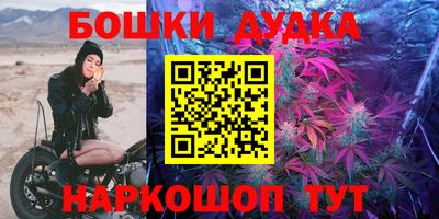 герыч Новодвинск