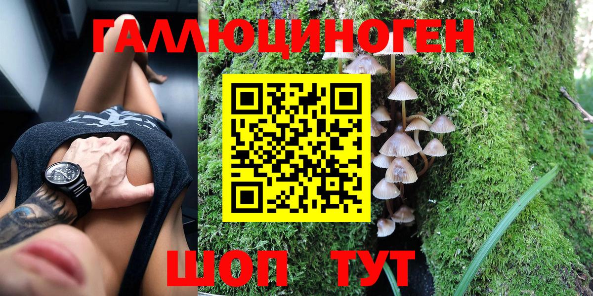 Тихвин  Псилоцибиновые грибы GOLDEN TEACHER  Вход с VPN 